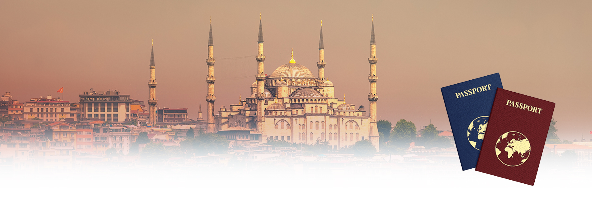TURKİSH CİTİZENSHİP